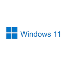 Windows 11